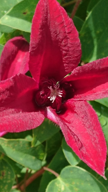 DSC_0013.jpg