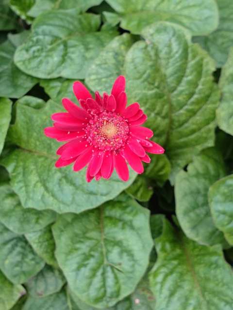 IMG_20150626_074432.jpg
